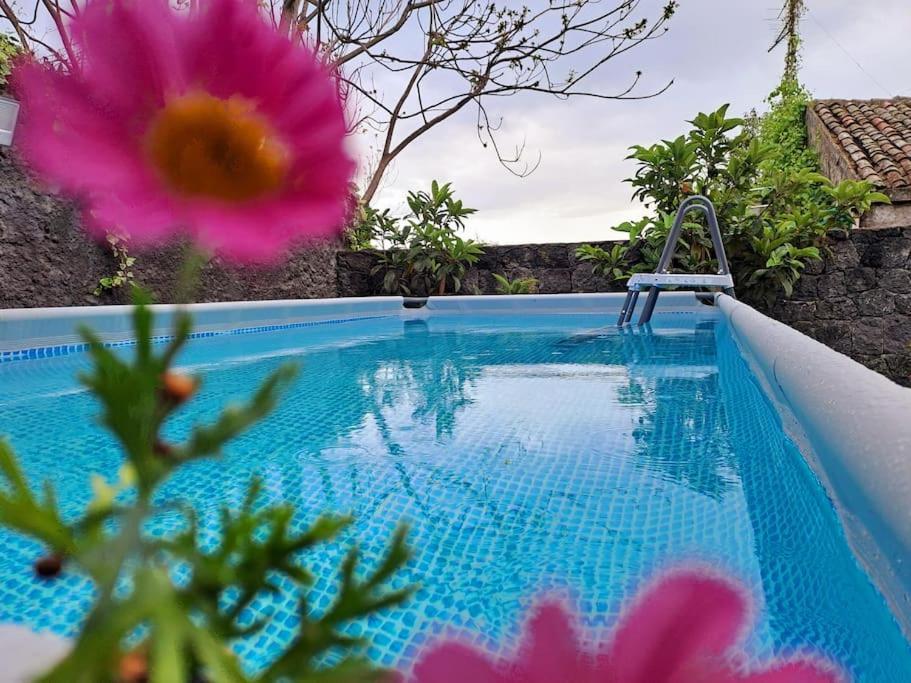 Casa vacanze Dimora Di Venere